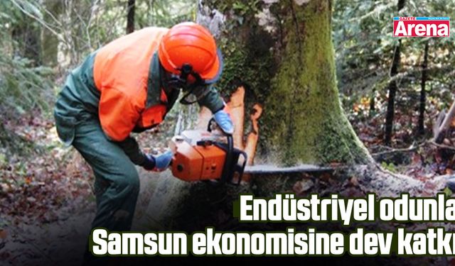 Endüstriyel odunla Samsun ekonomisine dev katkı