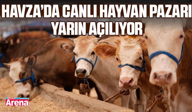Havza'da canlı hayvan pazarı yarın açılıyor