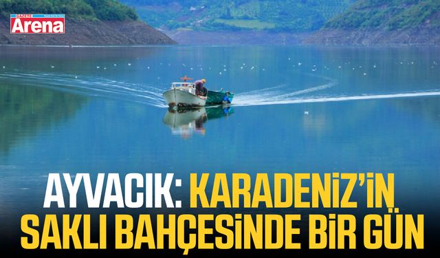 Ayvacık: Karadeniz’in saklı bahçesinde bir gün