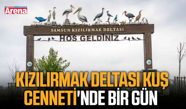 Kızılırmak Deltası Kuş Cenneti'nde bir gün