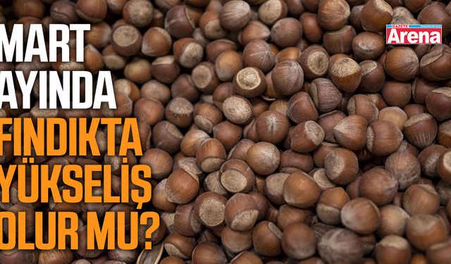 Mart ayında fındıkta yükseliş olur mu?