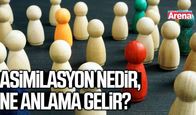 Asimilasyon nedir, ne anlama gelir?