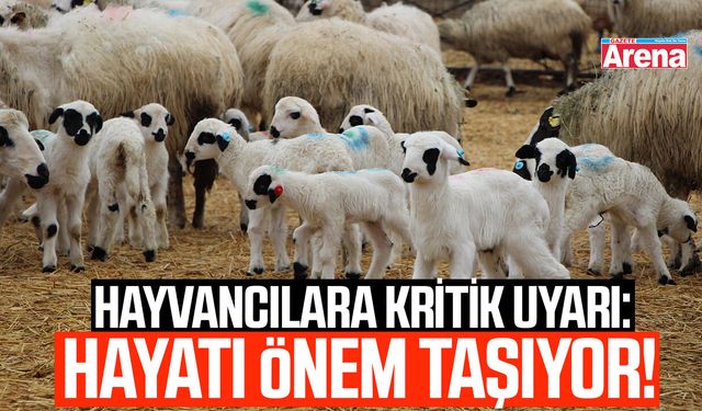 Hayvancılara kritik uyarı: Hayati önem taşıyor!