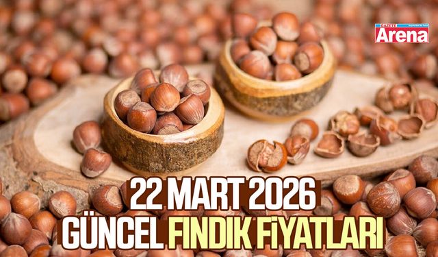 22 Mart 2026 güncel fındık fiyatları