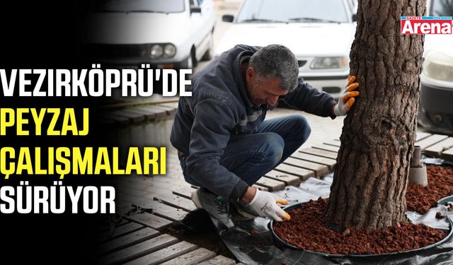 Vezirköprü'de peyzaj çalışmaları sürüyor