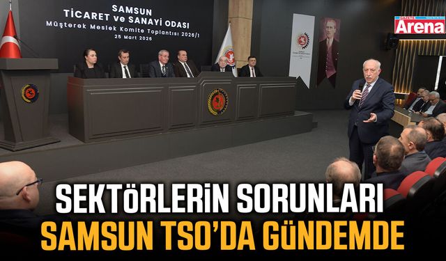 Sektörlerin sorunları Samsun TSO’da gündemde