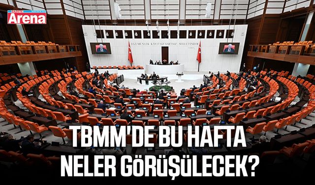 TBMM'de bu hafta neler görüşülecek?