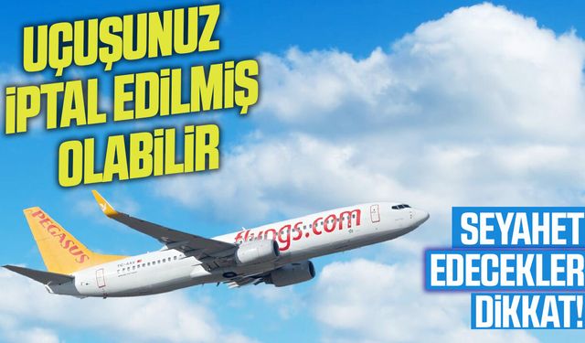 Pegasus 76 uçak seferini iptal etti!