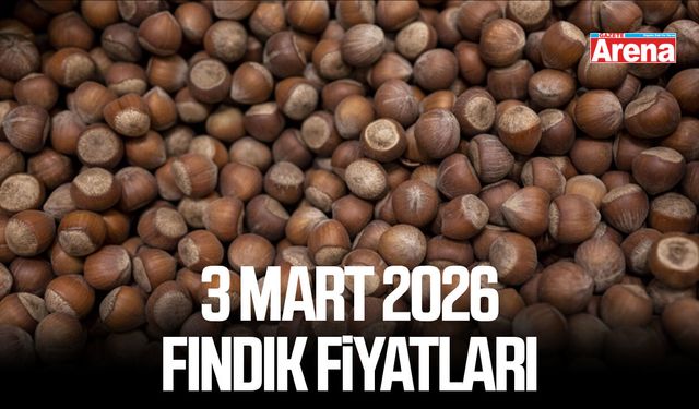 3 Mart 2026 güncel fındık fiyatları
