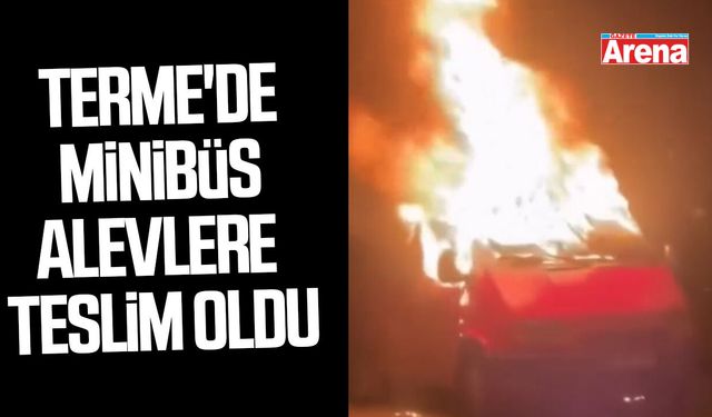 Terme'de park halindeki minibüs alevlere teslim oldu