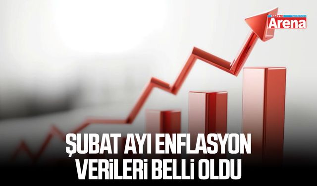 2026 Şubat ayı enflasyon verileri belli oldu