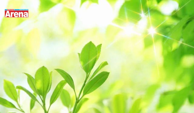 2026 Yeşilay Haftası ne zaman kutlanıyor?