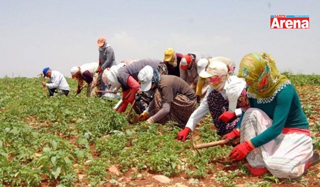 Tarım işçisi maaşları 2025 ne kadardı?