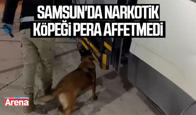 Samsun'da narkotik köpeği Pera affetmedi