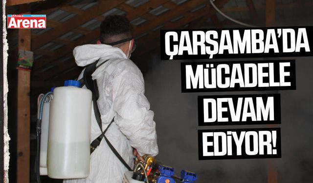 Çarşamba'da 62 bin samuray arısı doğaya salındı