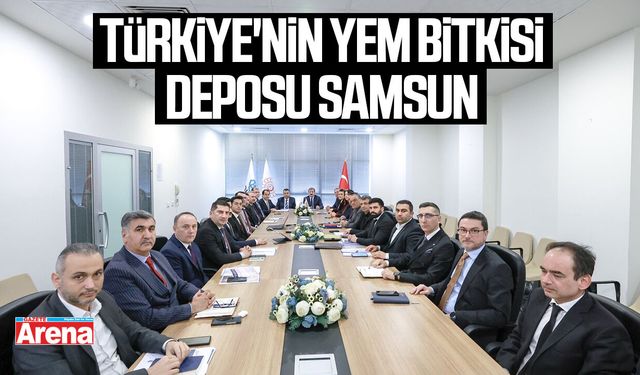 Türkiye'nin yem bitkisi deposu Samsun