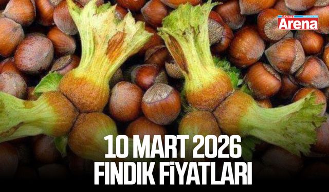 10 Mart 2026 güncel fındık fiyatları