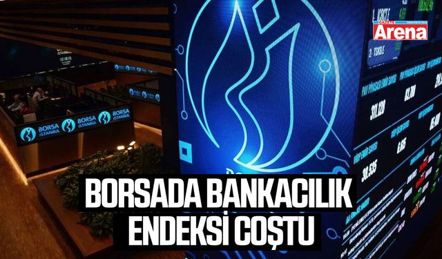 Borsada bankacılık endeksi coştu