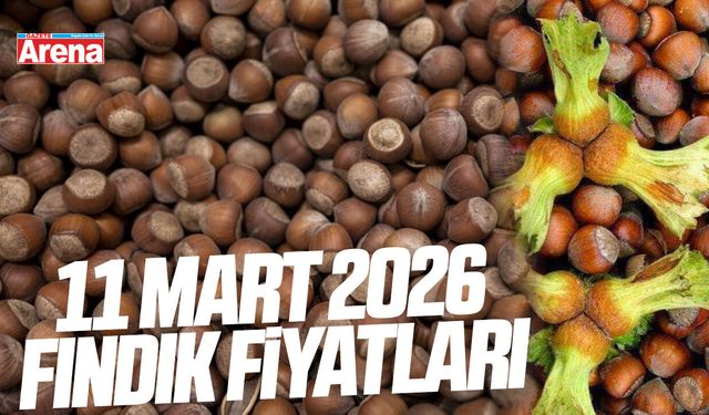 11 Mart 2026 güncel fındık fiyatları