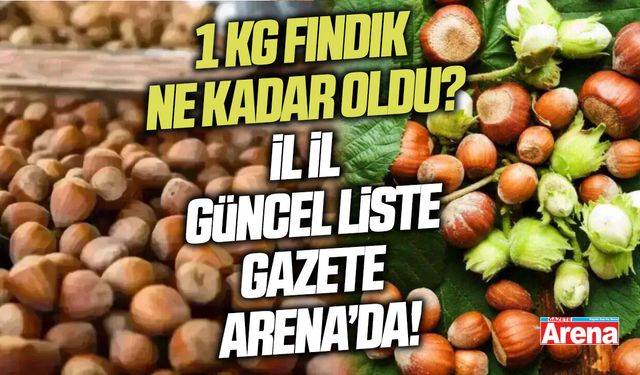 13 Mart 2026 güncel fındık fiyatları