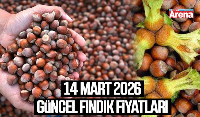 14 Mart 2026 güncel fındık fiyatları