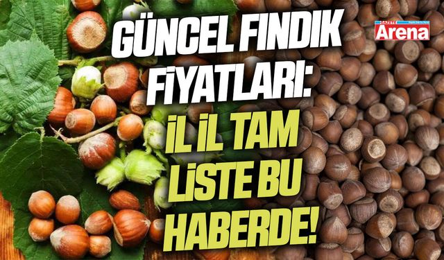 Güncel fındık fiyatları: İl il tam liste bu haberde!