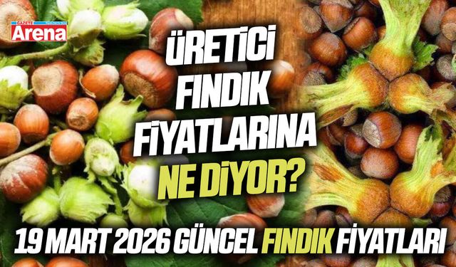 Samsun ve Karadeniz genelinde fındık fiyatları yükselişte