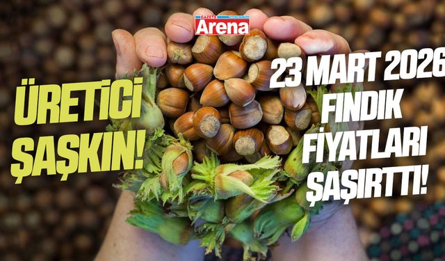 Üretici şaşkın! 23 Mart 2026 fındık fiyatları şaşırttı!