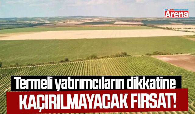 Termeli yatırımcıların dikkatine: Kaçırılmayacak fırsat!