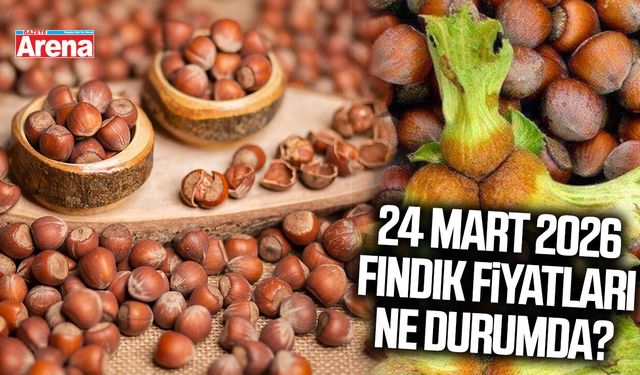 24 Mart 2026 fındık fiyatları ne durumda?