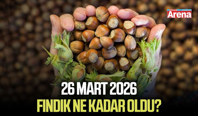 26 Mart 2026 il il güncel fındık fiyatları