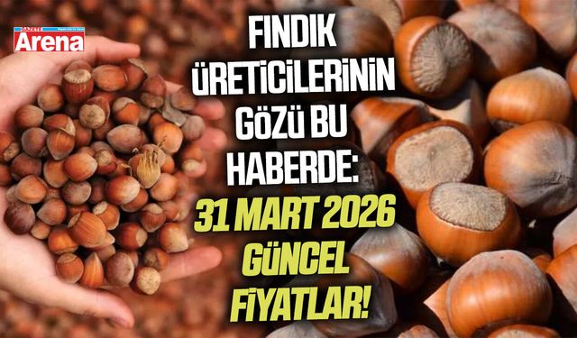Fındık üreticilerinin gözü bu haberde: 31 Mart 2026 güncel fiyatlar!