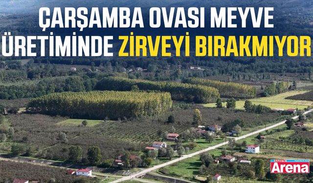 Çarşamba Ovası meyve üretiminde zirveyi bırakmıyor