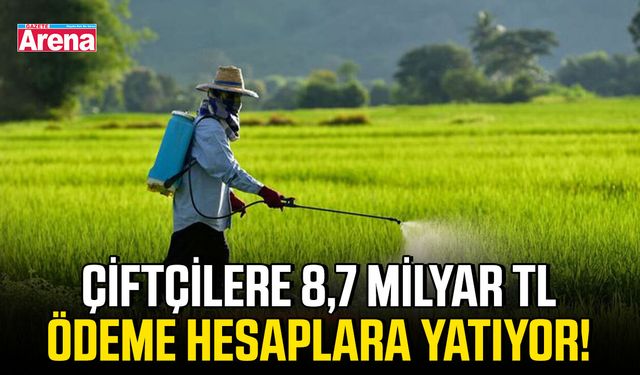Çiftçilere 8,7 milyar TL ödeme hesaplara yatıyor!