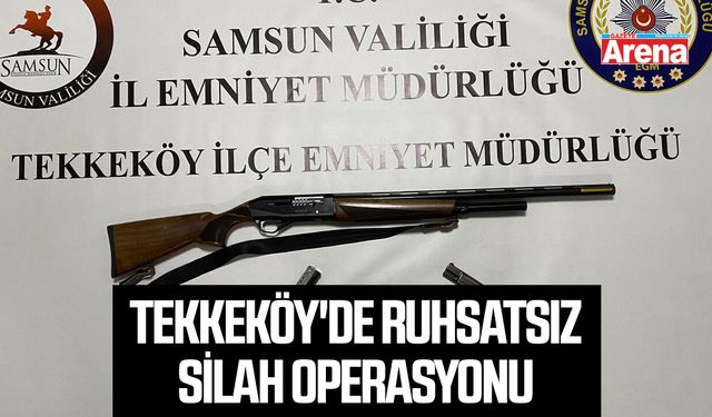 Tekkeköy'de ruhsatsız silah operasyonu