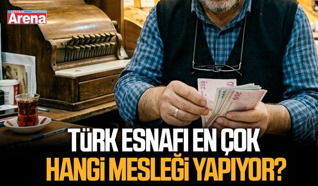 Türk esnafı en çok hangi mesleği yapıyor?
