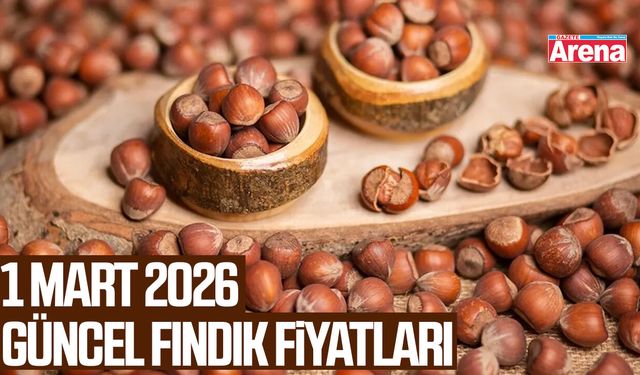 1 Mart 2026 güncel fındık fiyatları