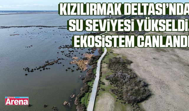 Kızılırmak Deltası’nda su seviyesi yükseldi, ekosistem canlandı