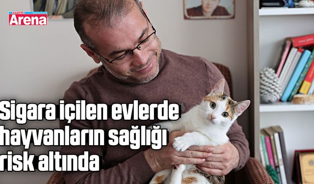 Sigara içilen evlerde hayvanların sağlığı risk altında