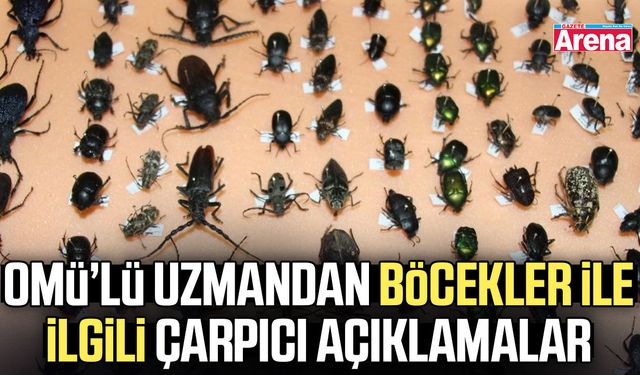 Böcekler ölüm zamanını ortaya çıkarıyor