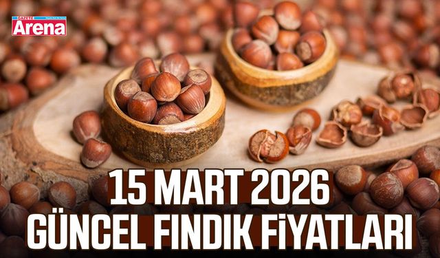15 Mart 2026 güncel fındık fiyatları
