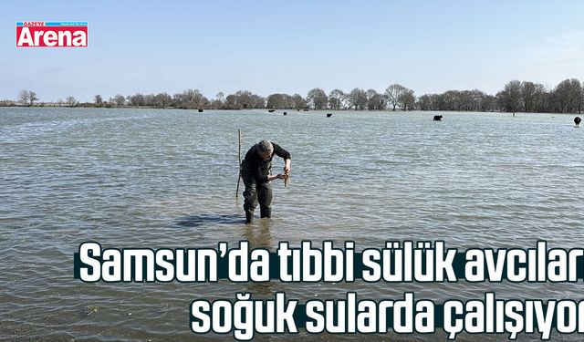Samsun’da tıbbi sülük avcıları soğuk sularda çalışıyor