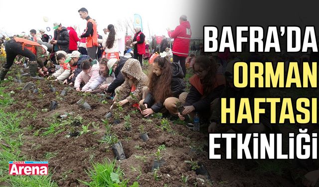 Bafra’da orman haftası etkinliği