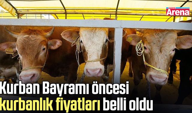 Kurban Bayramı öncesi kurbanlık fiyatları belli oldu