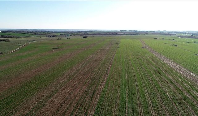 Arazi yatırımlarında enflasyon darbesi