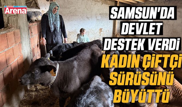 Samsun'da devlet destek verdi kadın çiftçi sürüsünü büyüttü