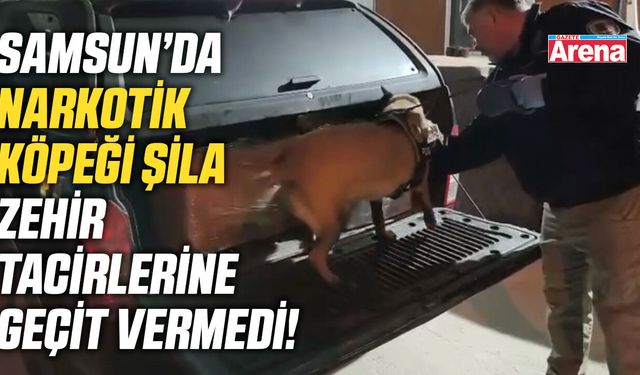 Samsun'da narkotik köpeği Şila zehir tacirlerine geçit vermedi