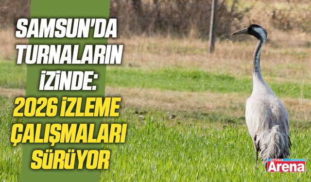 Samsun'da turnaların izinde: 2026 izleme çalışmaları sürüyor