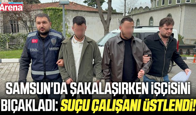Samsun'da şakalaşırken işçisini bıçakladı: Suçu çalışanı üstlendi!