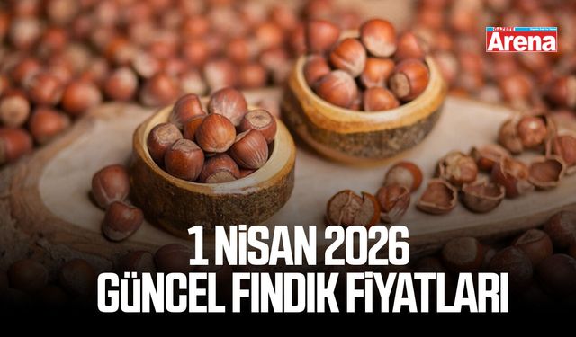 1 Nisan 2026 güncel fındık fiyatları